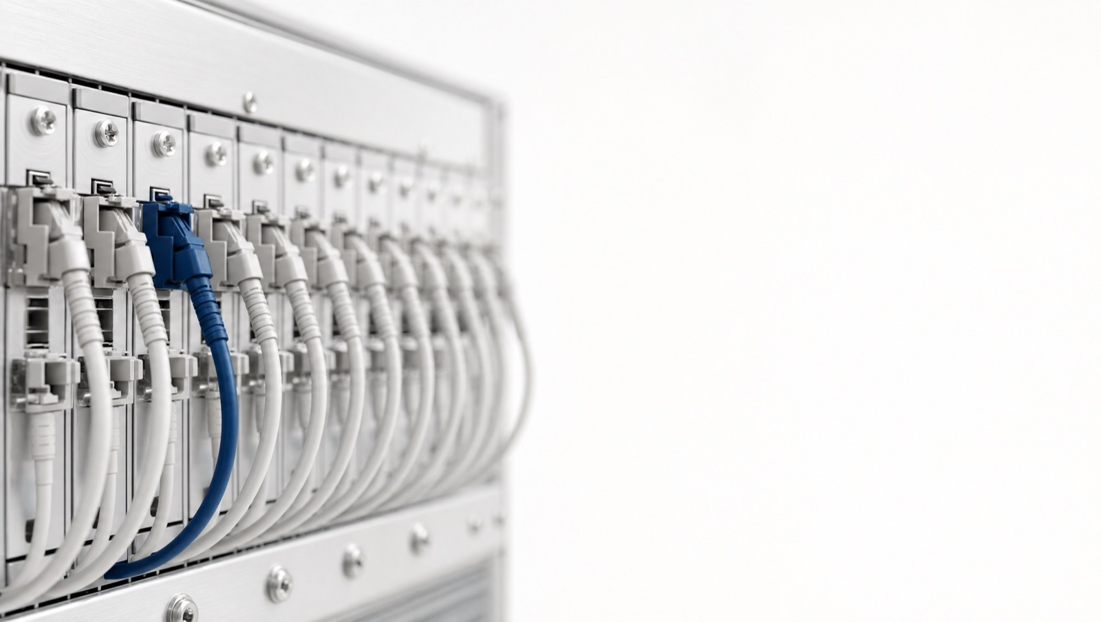 Network patch panel, shallow depth of field